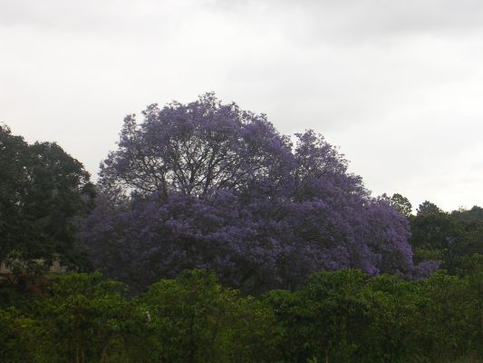 Nairobi-005.html