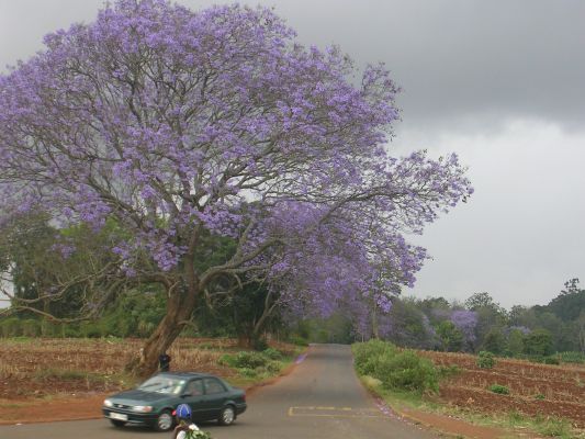Nairobi-007.html