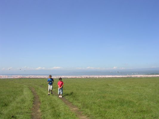 DSCN2616.html