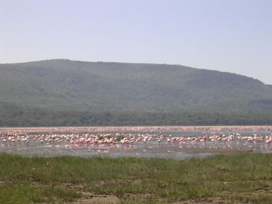 DSCN2620.html