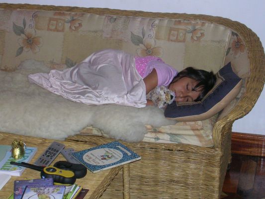 DSCN2677.html