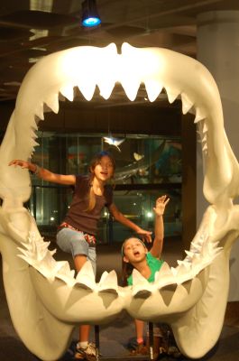20071021-051.html