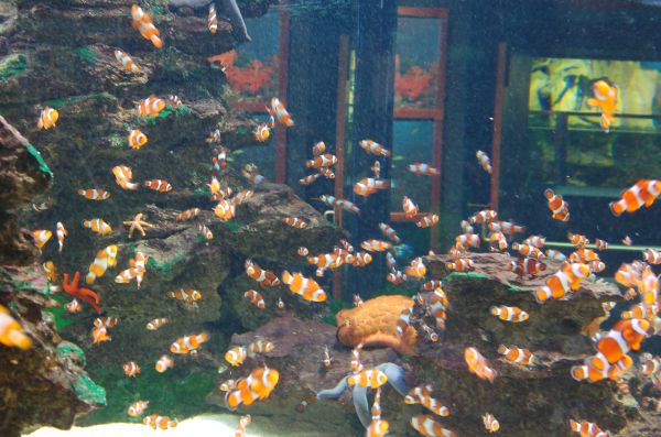 20071021-054.html