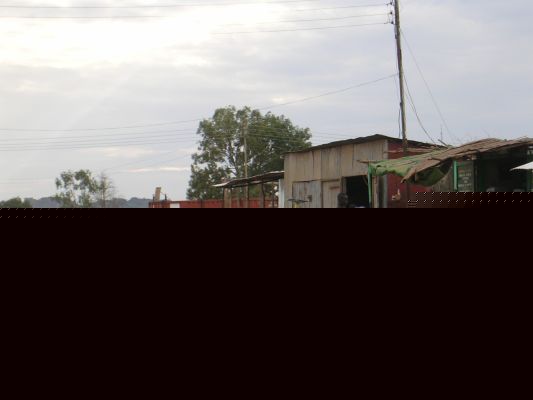DSCN2960.html