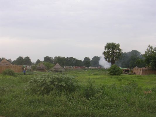 DSCN2987.html