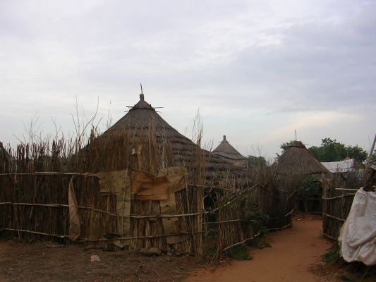 DSCN2994.html