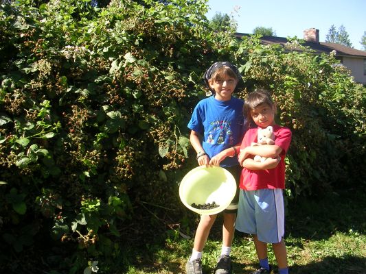 Summer2005-147.html