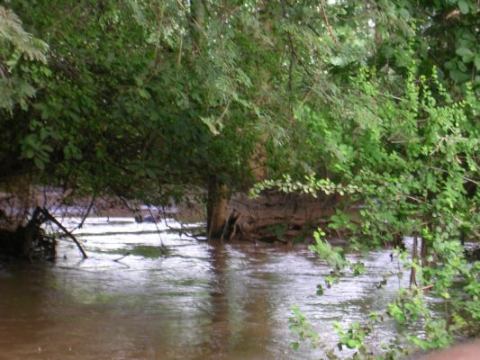 DSCN2502.html