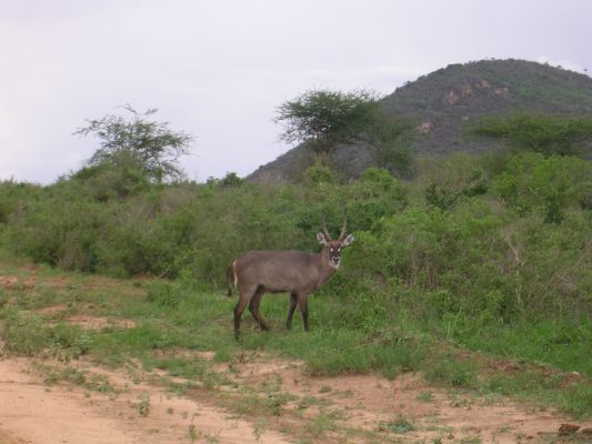 DSCN2515.html