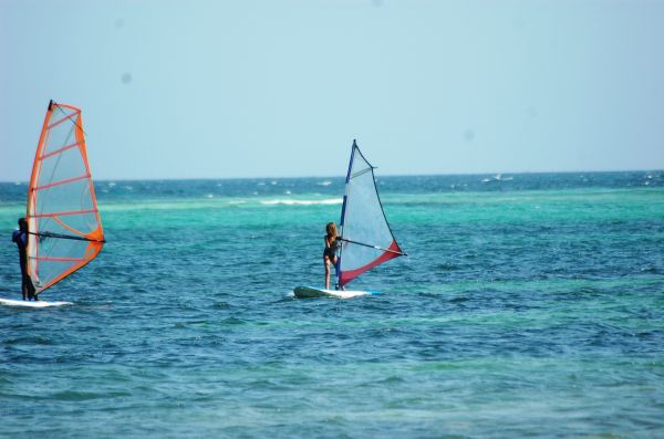 20080229-081.html