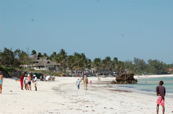 20080229-085.html