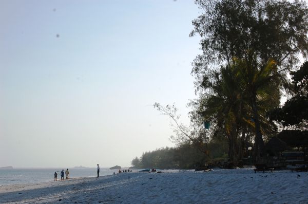 20080229-110.html