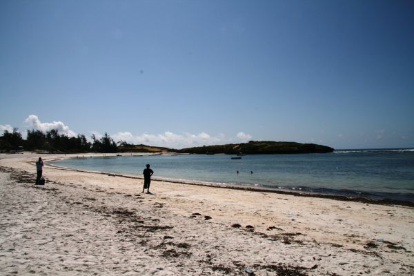 2007-03-15D-249.html