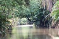 Meru NP