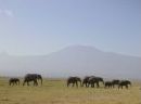 Tsavo