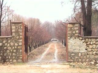 Garden,Bid Olia