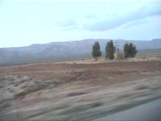 Farm,Kamali Farm