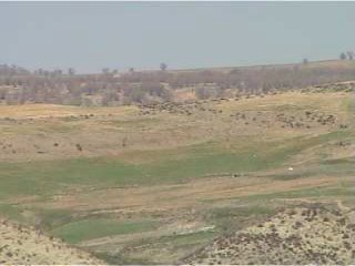 kamalisarvestani028.jpg (14481 bytes)