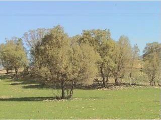 Nature,Laghur