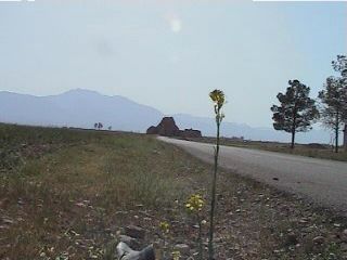 saheh11.jpg (13852 bytes)