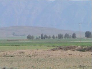 saheh20.jpg (10734 bytes)
