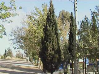 saheh23.jpg (24155 bytes)