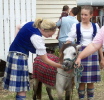 photograph of SAS dancers with Shetland pony