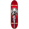 tony hawk