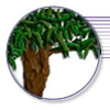 Portfolio -- Graphic Design for "Uniting the Family"