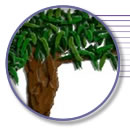Graphic Design Services