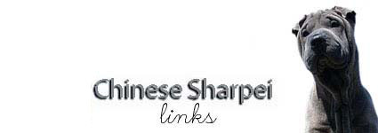  Sasa's CSP Links