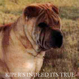 Kiper's Indeed Its True
