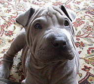 what a face