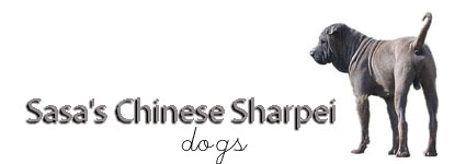 Welcome to Sasa's Chinese Sharpei
