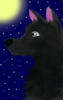 Midnight Moon by Kawaii Wolf