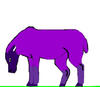 The purple Sheep by Mostumi. 1st></a>  <a href=