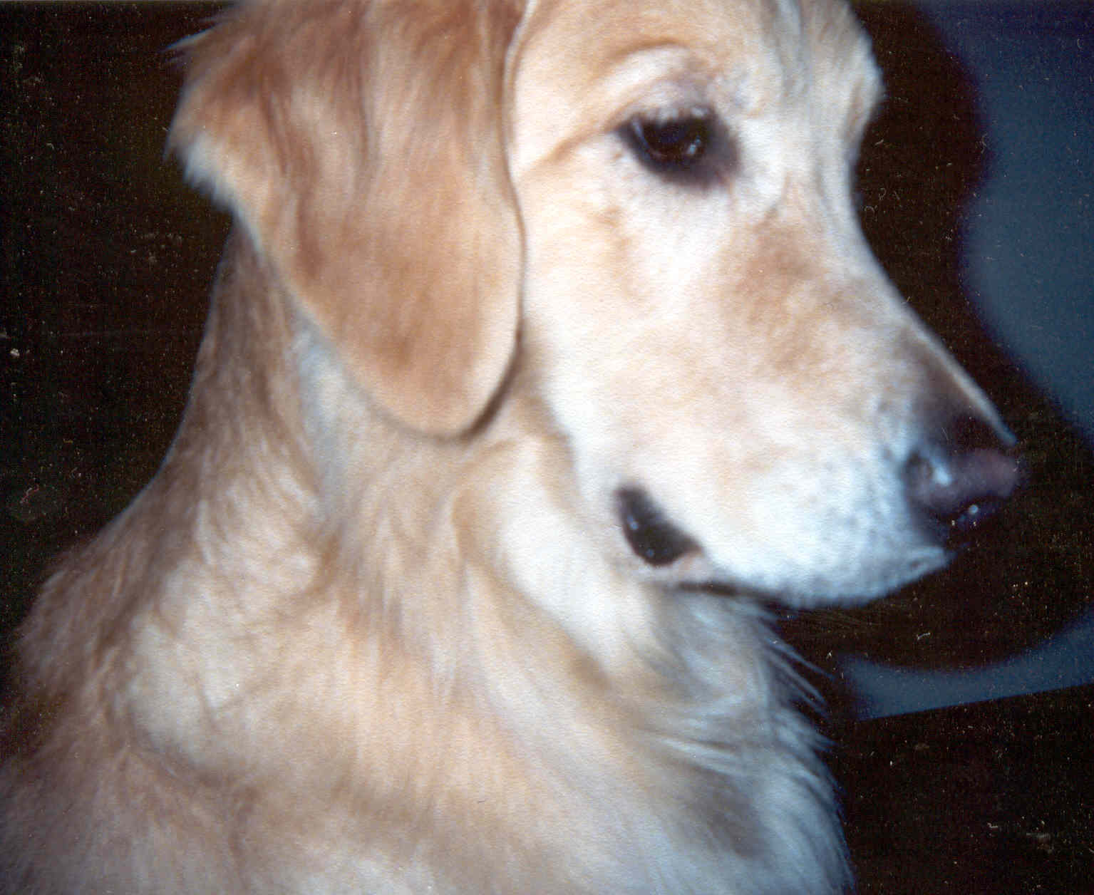 Odin