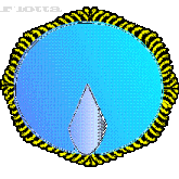 Flotta