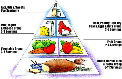 the food guide pyramid