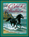 Black Stallion