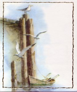 Gull
