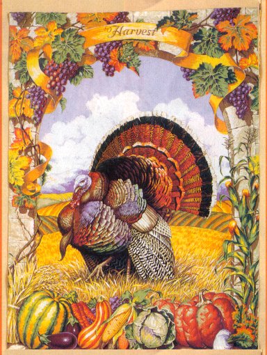 Turkey Picture