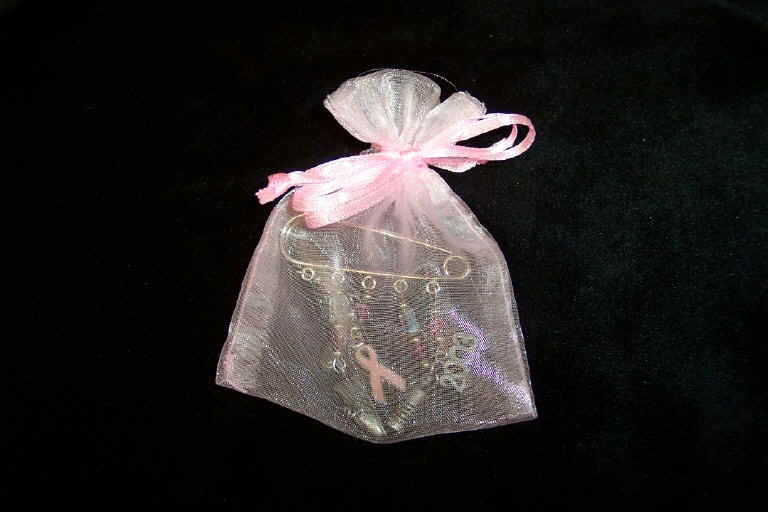 Pinbag.bmp (1179702 bytes)