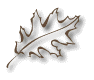 leaf2.gif (2886 bytes)
