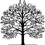 tree1.gif (4570 bytes)