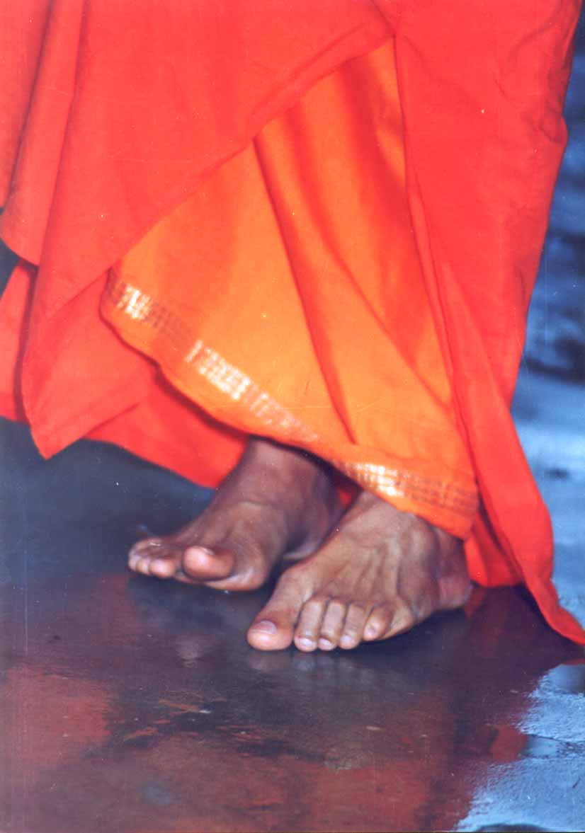 SWAMI'S FEET