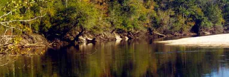Satilla River - Hortense, Georgia U.S.A.