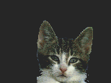 Welcome to Satinlace's Home Page