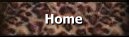 to Home Page