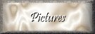 To My Picture Album